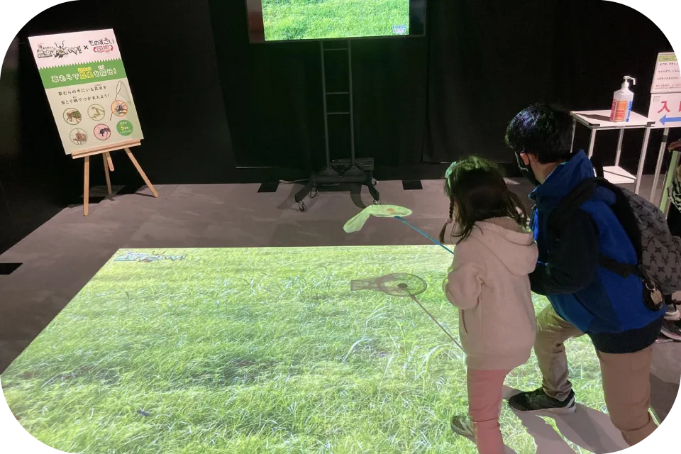 メディア・イベントコンテンツ